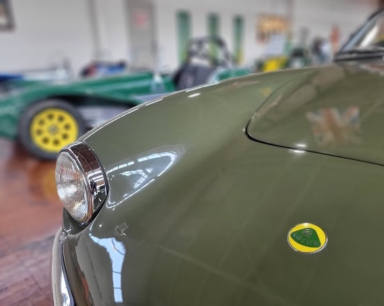 lotus exhibit